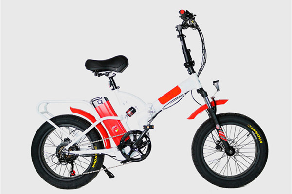 Electric Fat Tire Bike
